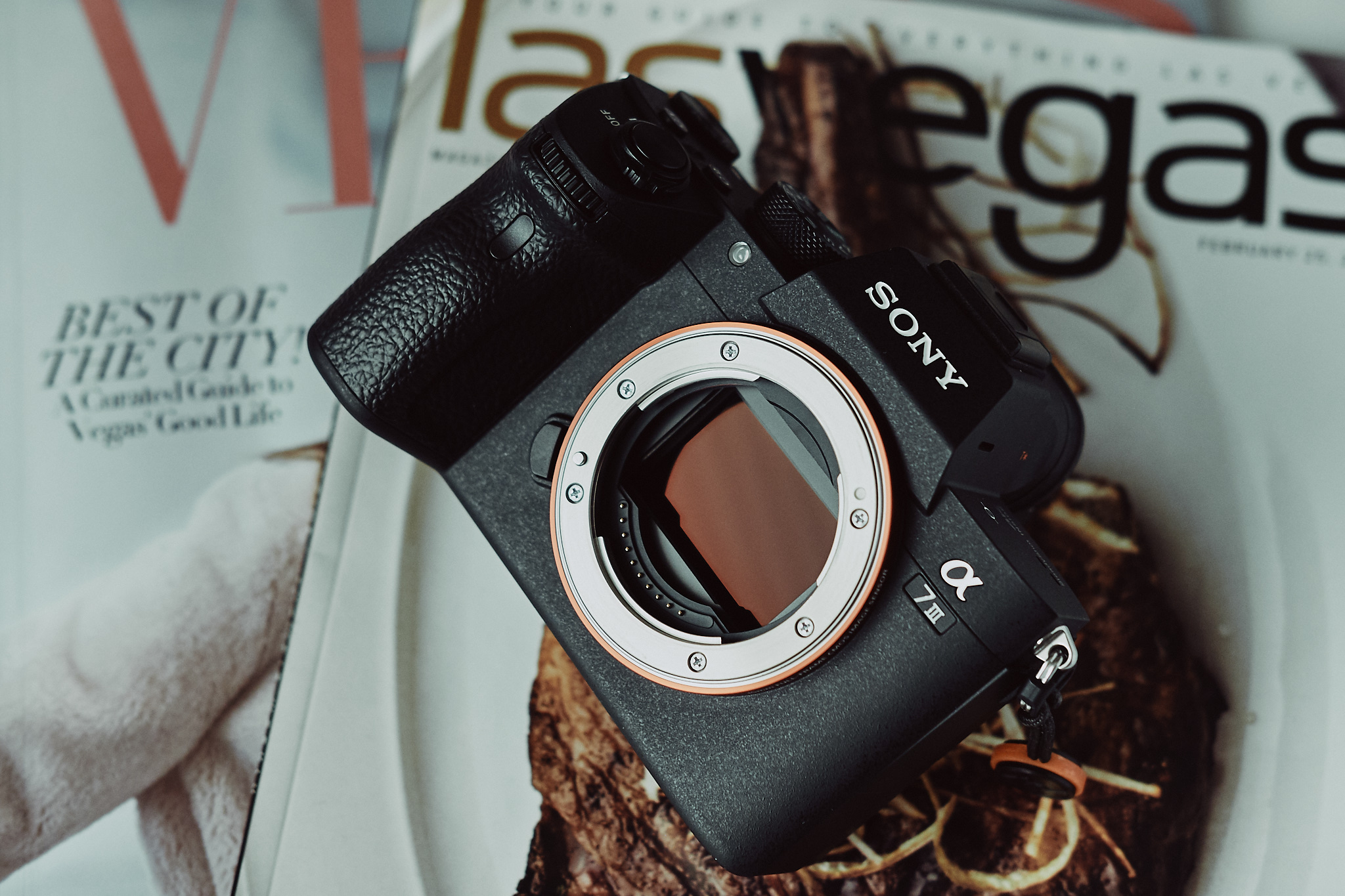 Sony-A7III-Mirrorless-Review_004