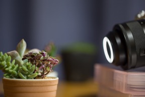 EF-M 28mm f3.5 Macro IS STM_Macro Lite_3